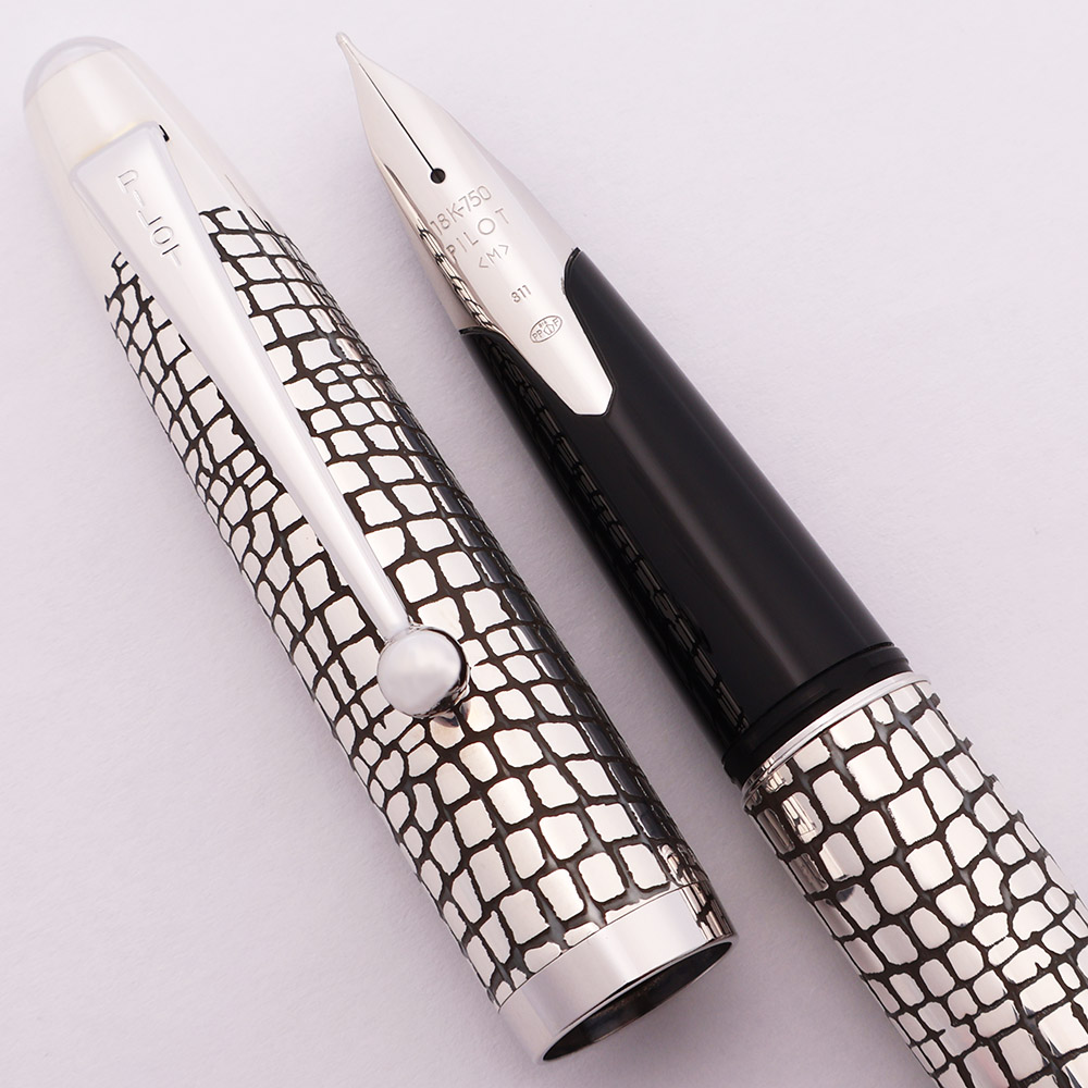 Pilot Art Craft Silver Collection Fountain Pen (2011) "Ishidatami